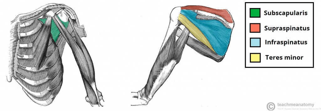 shoulder pain