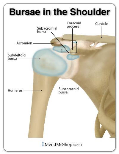 Rotator Cuff Tendinopathy Rotator Cuff Tendinopathy