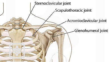 shoulder pain shoulder pain